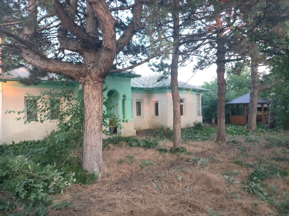 Casă  Ciocanești  Călărași