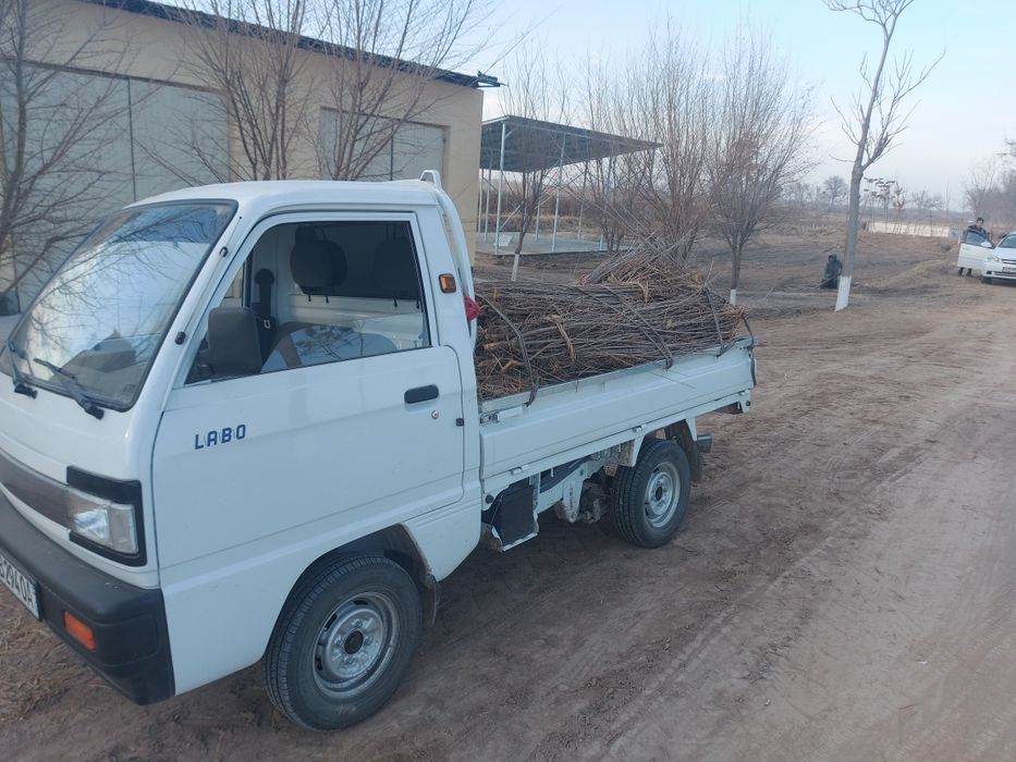 Labo xizmati kelishilgan holda