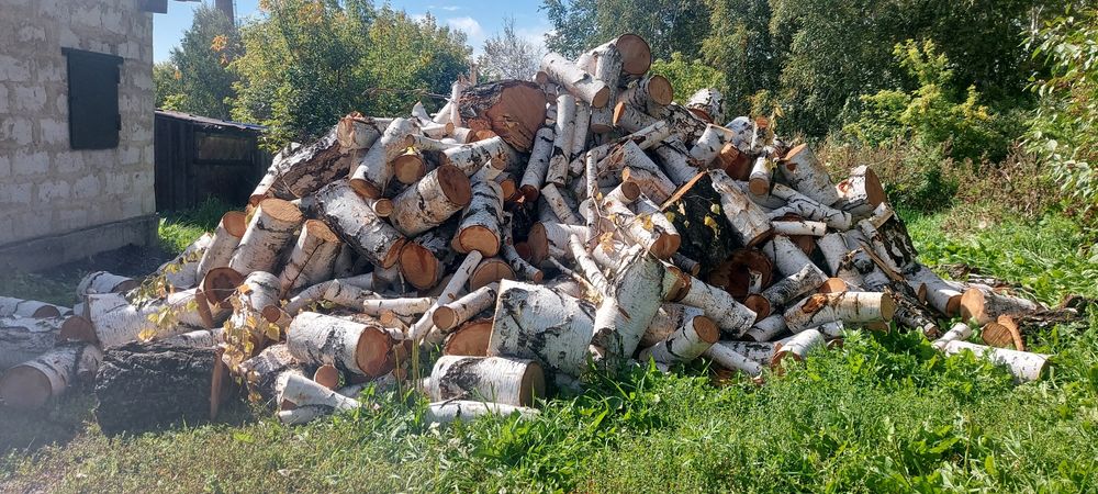 Дрова машина берёза,самовывоз