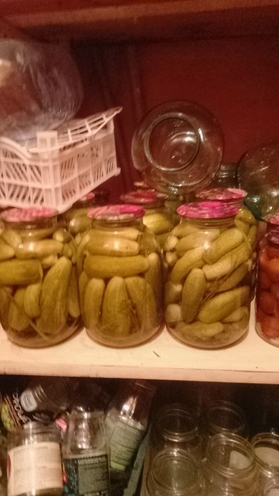 Продам огурчики мелкие