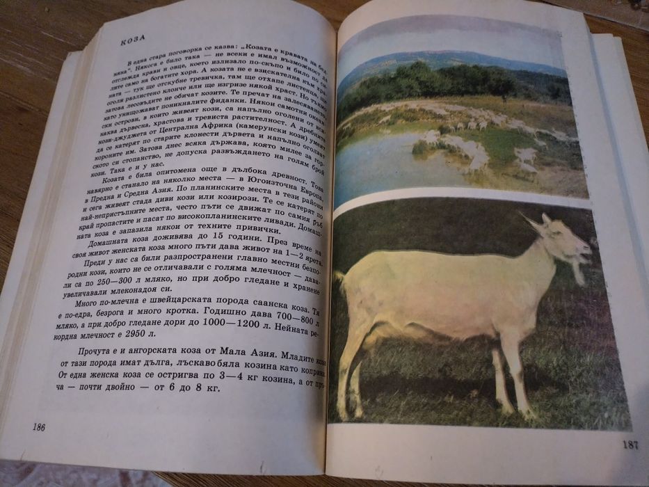 Енциклопедия за растения и животни