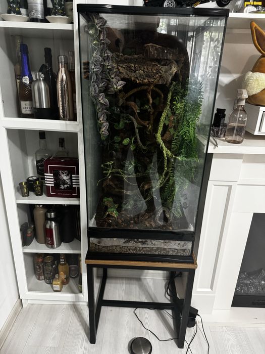 Terariu complet 45x45x93 + Crested Gecko