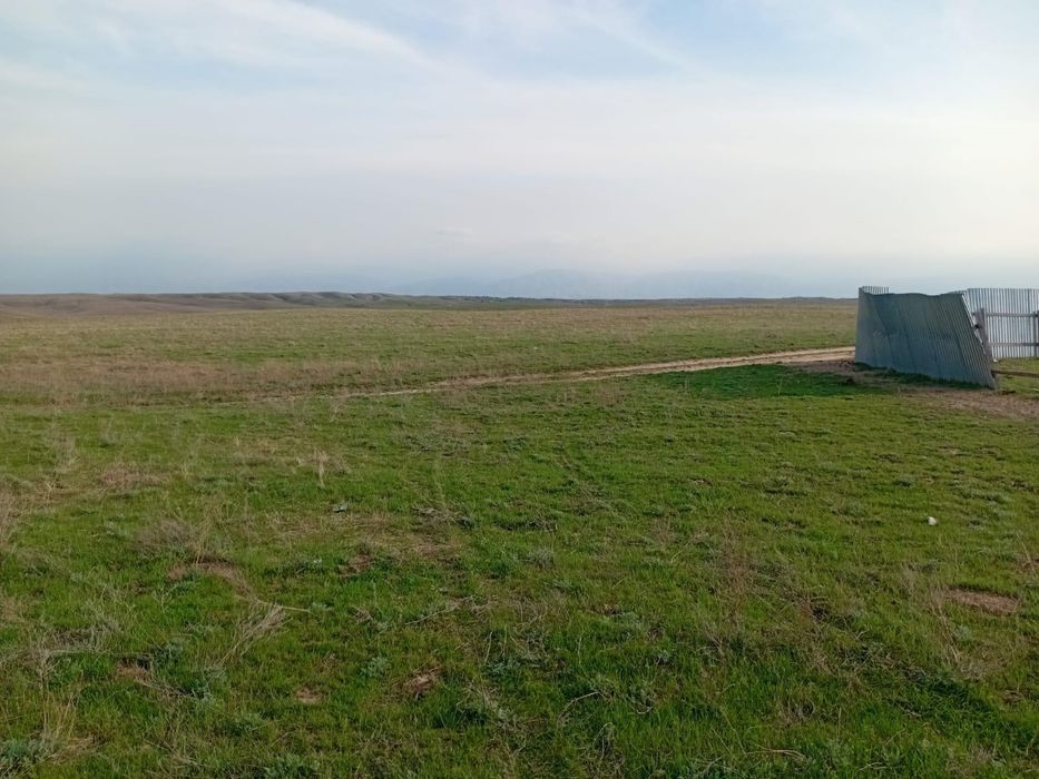 Жер арендаға беріледі 10 га