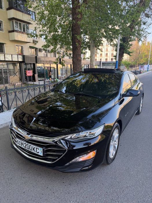 Malibu 2 Primier 2022