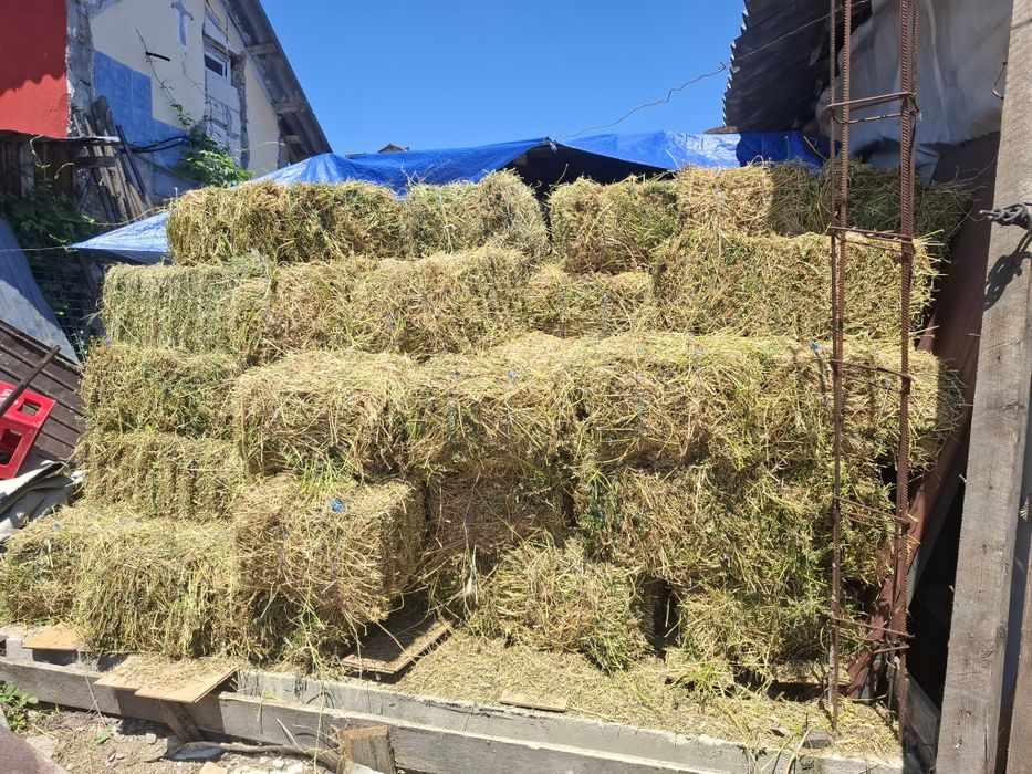 Vand baloti de lucernă