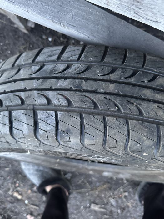 Продам шины tunga