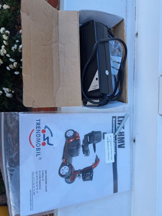 Scooter electric pt persoane cu dizabilități, Persoane varstnice