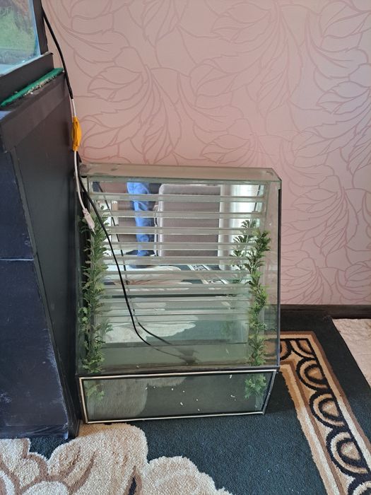 Akvarium sotiladi