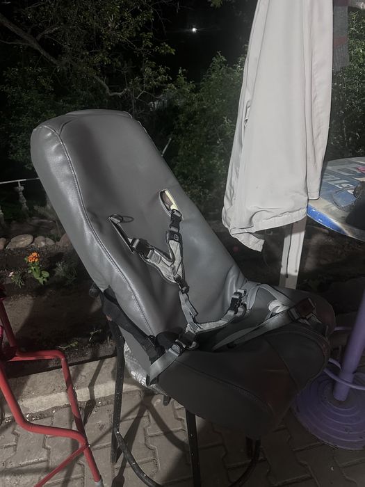 Кресло Special Tomato Sitter