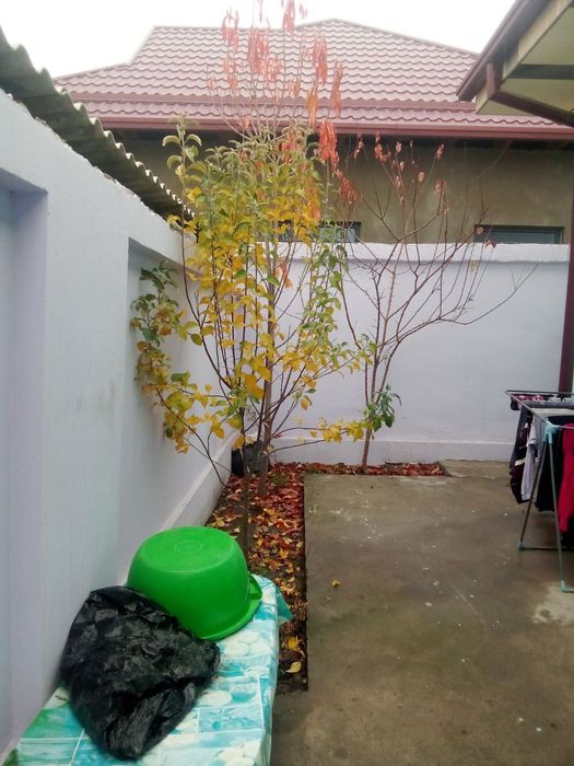 Комната в аренду. ПОДСЕЛЕНИЕ. С обстановкой. Сергели. Улица Райхон