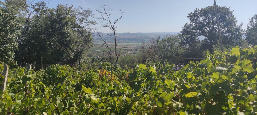 Продава се Къща в Айтос - 40 кв.м за 891 €/кв.м - Снимка #1