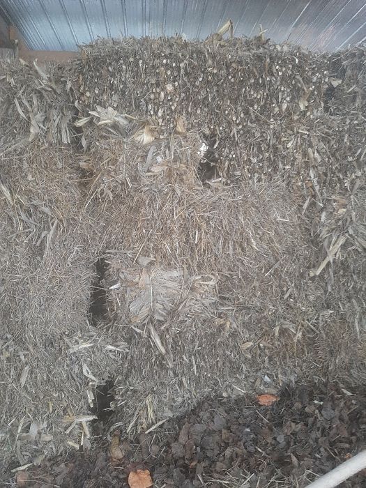 Vand baloti porumbiste si fan