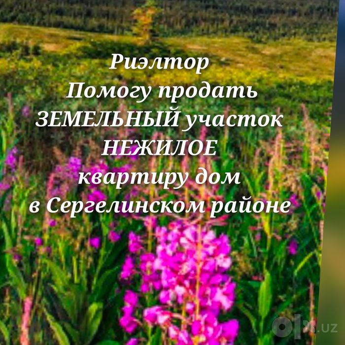 Риэлтор. Помогу продать люблю недвижимость в СЕРГЕЛИ. Старые Сергели.