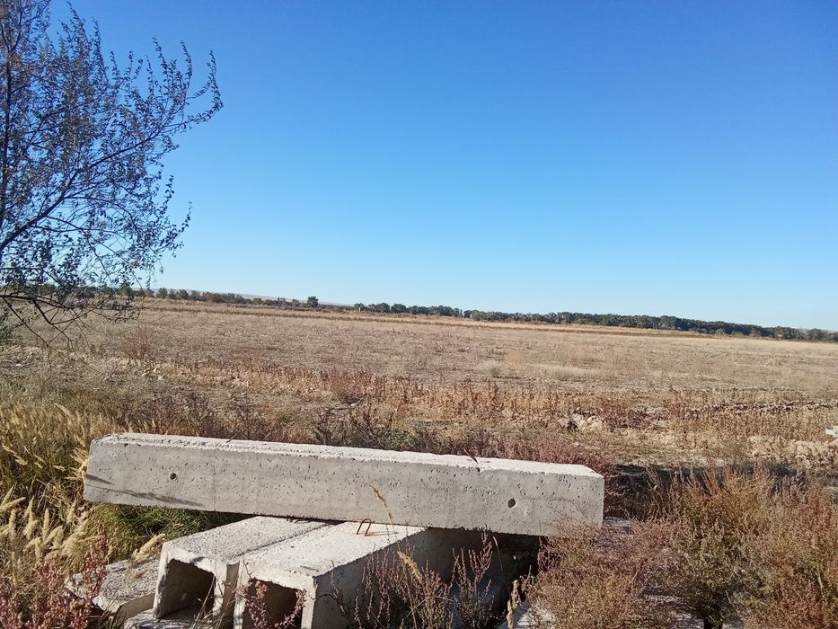 Продам ладки и кольца