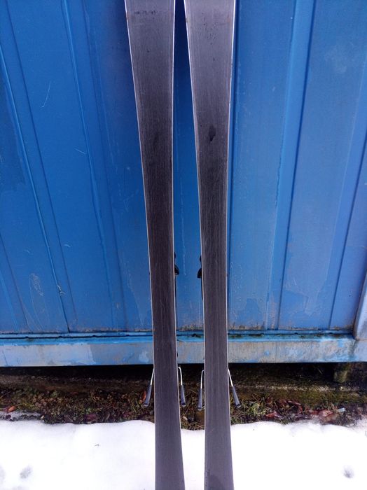 Schiuri head world cup rebels