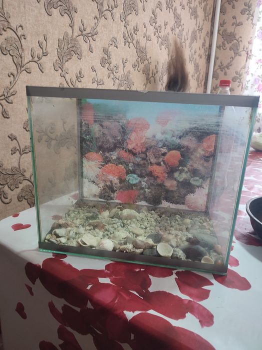 Продам аквариум без крышки