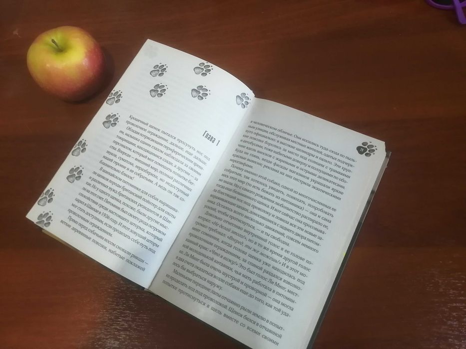 Книга Джуди: Четвероногий Друг