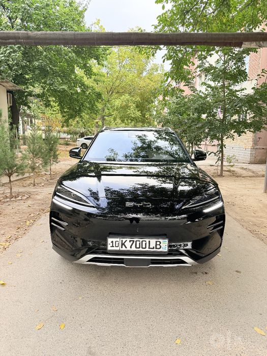 BYD chempion restaling 2024/605
