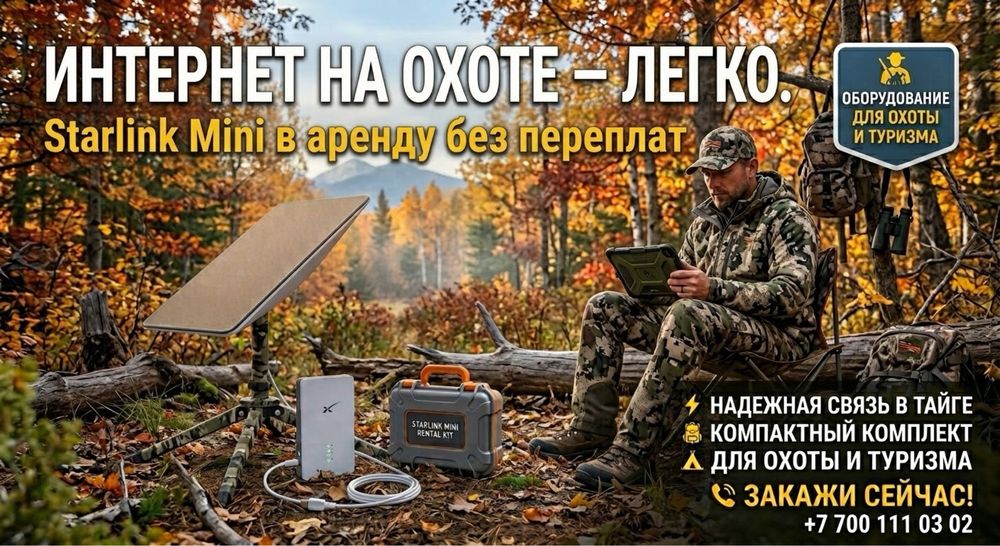 Starlink в араенду