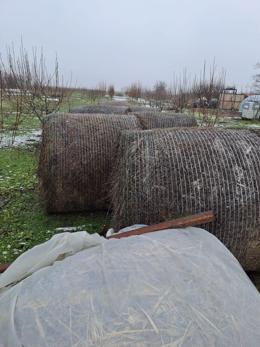 Vand Baloti Lucerna Coasa 1