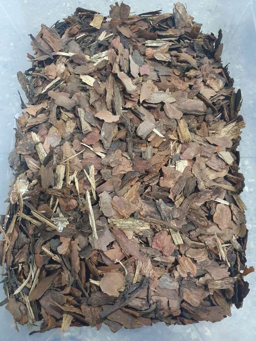 Daraxt posti Кора для орхидеи