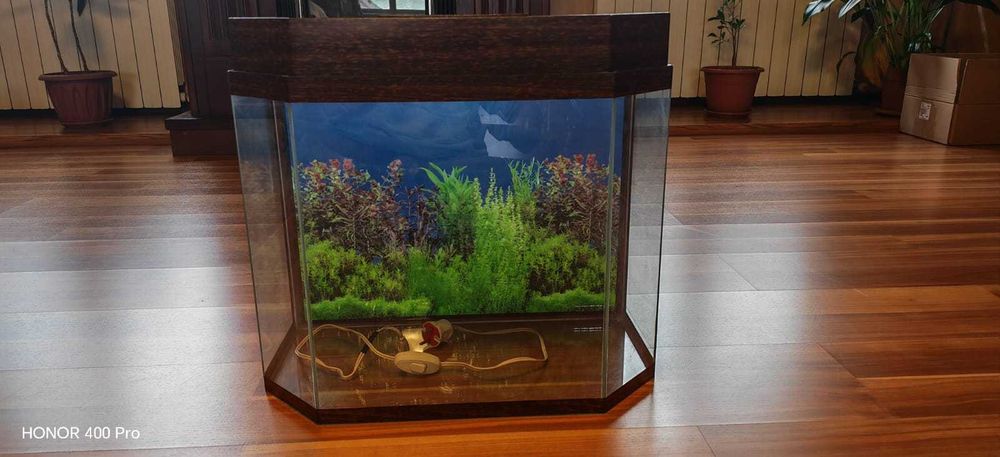 Аквариум 80 литров с крышкой