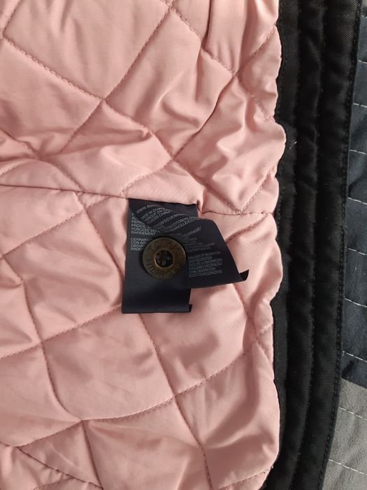 Adidas, Tommy Hilfiger