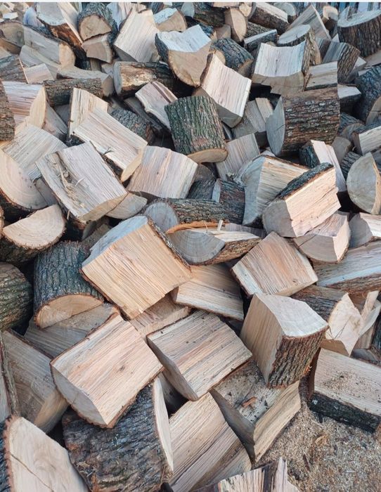Lemn de foc stejat uscat 600 lei tona