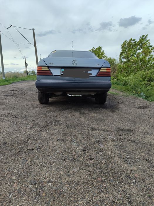 Продам живого мерса