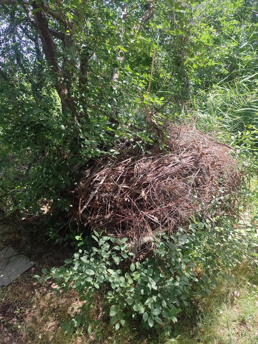 Утин сотилади курук