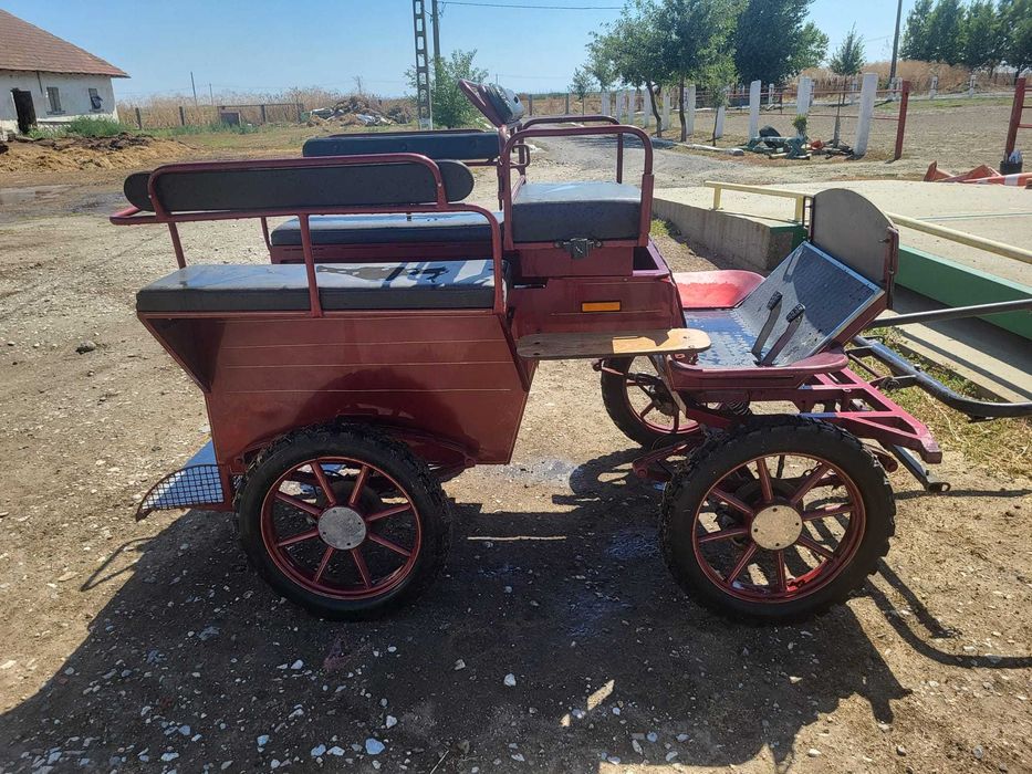 Atelaj Docar/maraton/trasura pentru 1 sau 2 cai