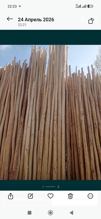 Терак булорлар сотилади