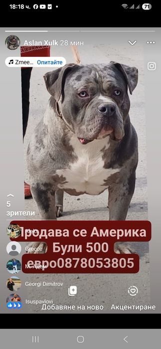 Топ американско були мъжко