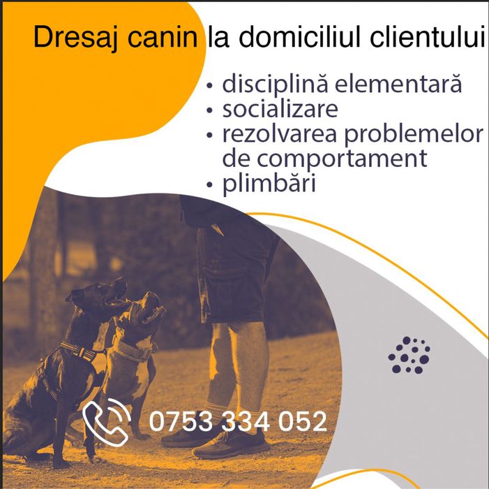 Dresaj canin Bucuresti