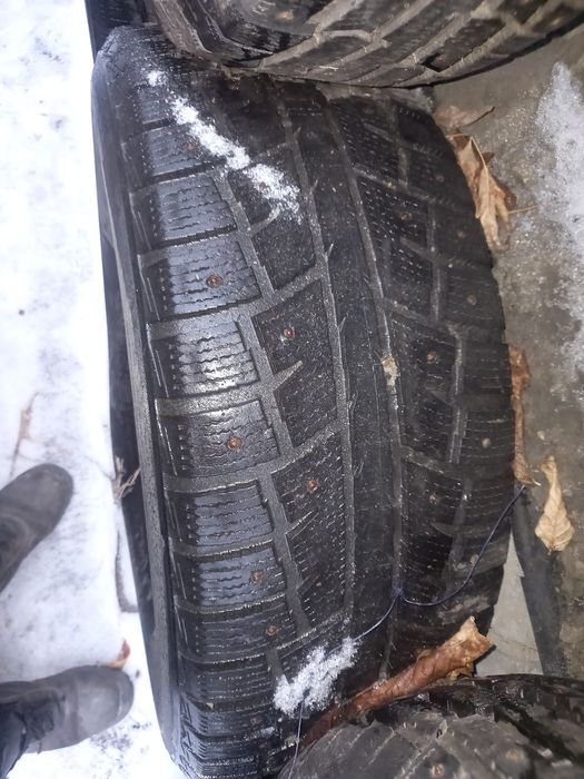 Продам шипованную резину Минерва