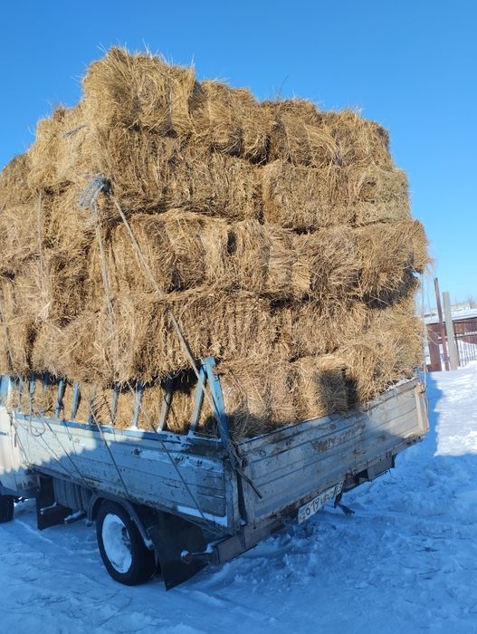 Тюки для животных