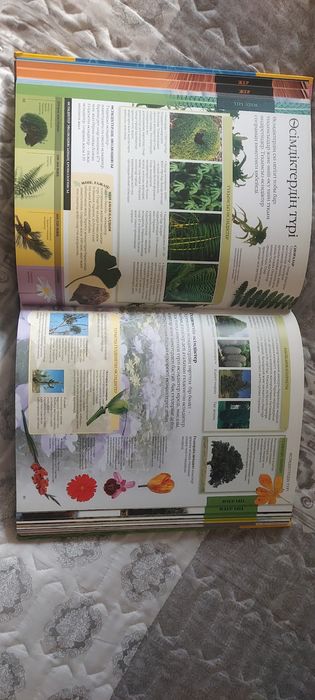 Книги для детей.