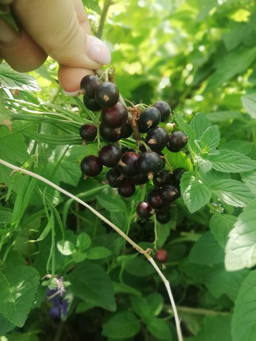 Продам дом в начале рабочего