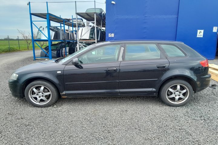 Hayon / Haion cu luneta Audi A3 8P