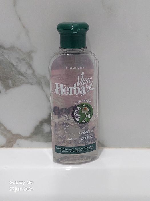 Мысық сатылады,қасына дарет құмсалғышымен