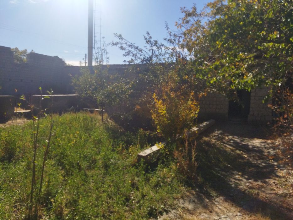 Yuldi ustida gaz sevet yaxshi aftabuz qatnaydi shaxarga