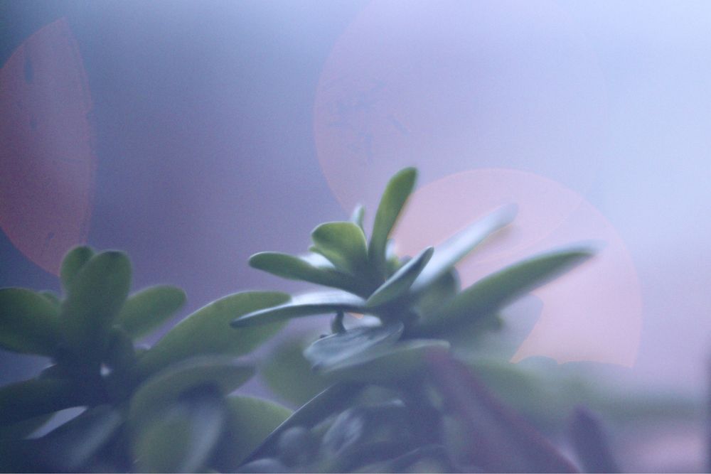 GOMZ K-20 F=90 1:2 obiectiv proiector vintage urss