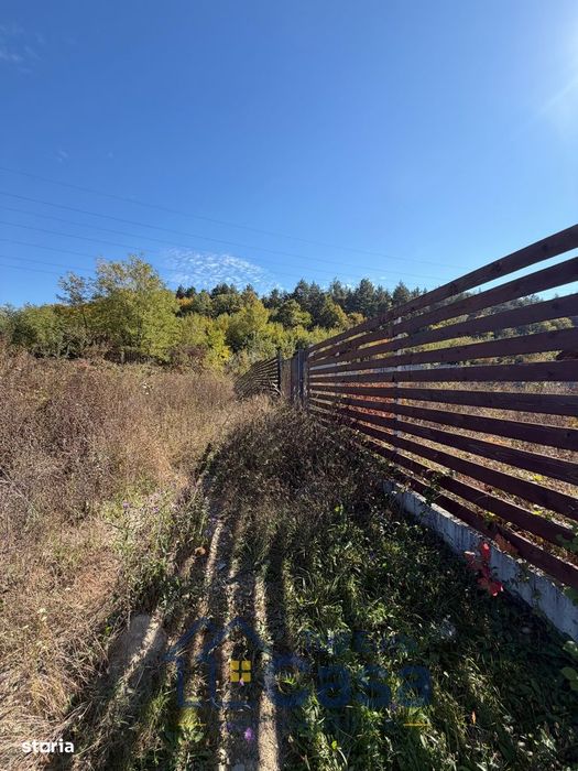 Teren Mioveni, A-uri, toate utilitatile, gard si cabana, langa padure