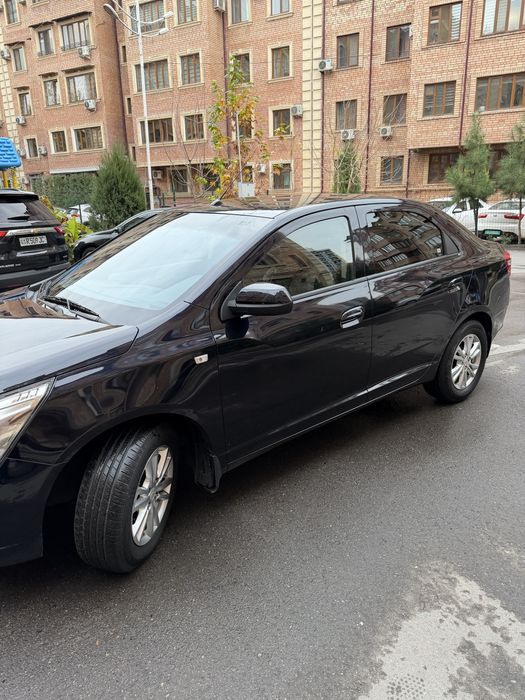 Cobalt full dark mon blue 2023 toza