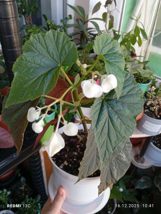 Каждый по 2500 тенге