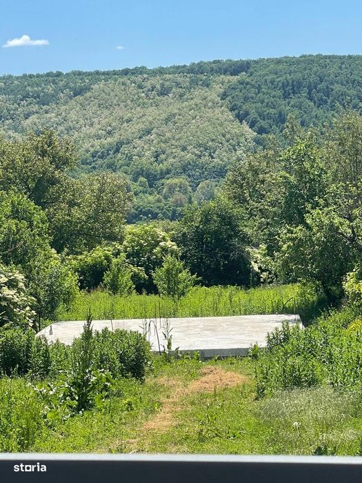 Teren Davidesti Arges