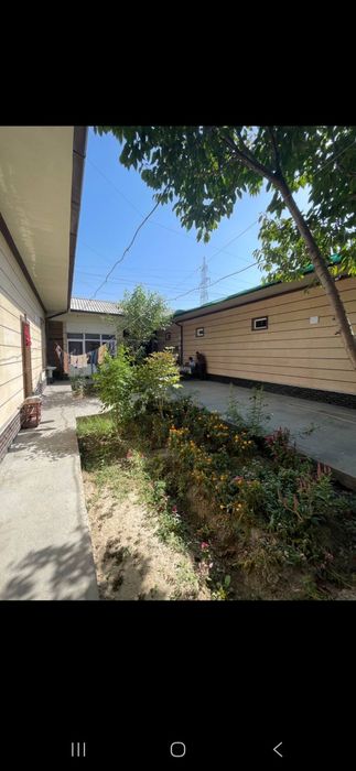 Арзон хостел мехмонхона Куйлюк