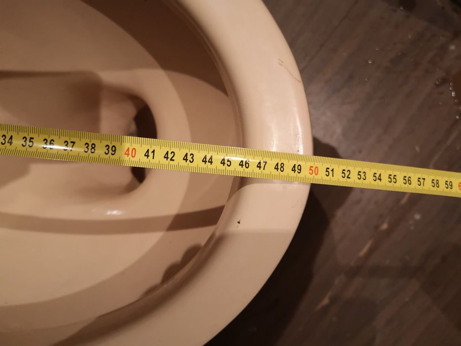 Тоалетната чиния