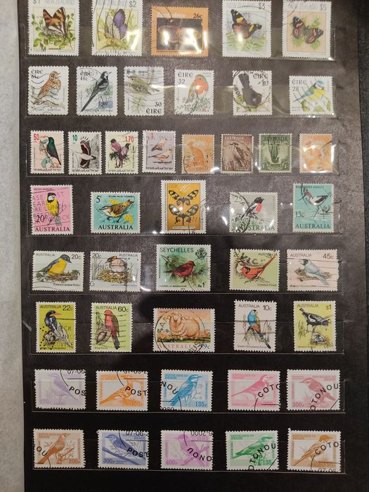 Почтовые марки. Альбом "Птицы".