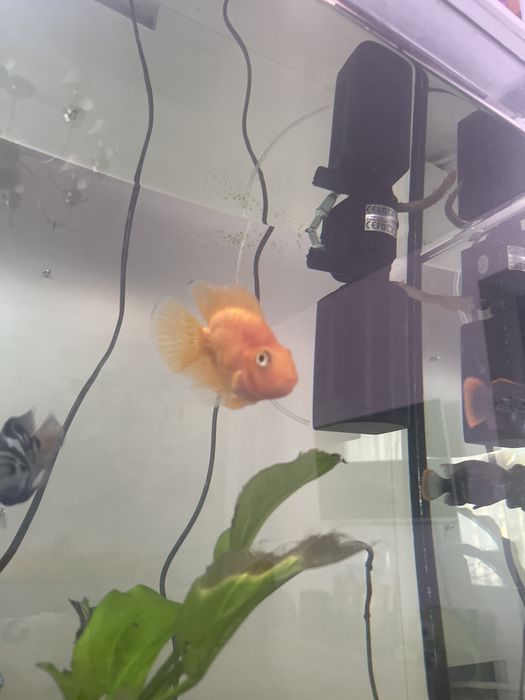 Аквариум 90л комплект